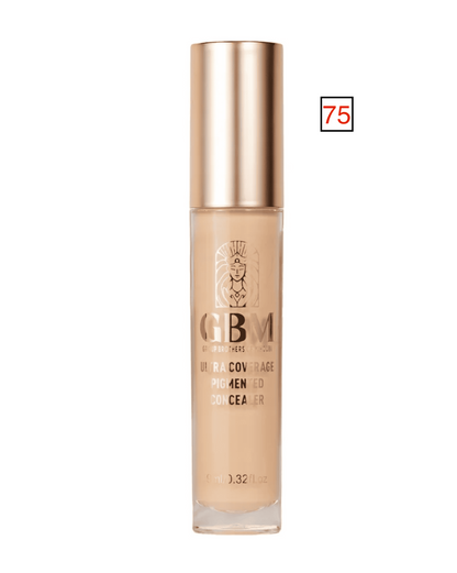 NEW ✨GBM Sculpt Concealer